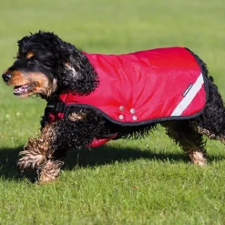 Rambo Duo Dog Rug Red