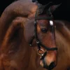 Rambo Micklem Competition Bridle