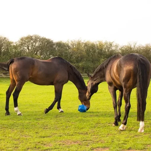 Red Gorilla Dripfeed Treat Ball