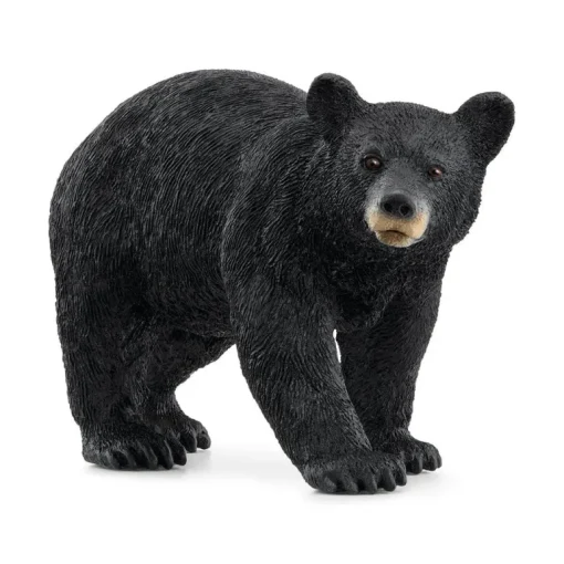 Schleich American Black Bear