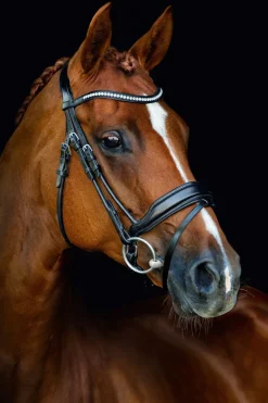 Schockemohle Malibu Bridle Espresso/Silver