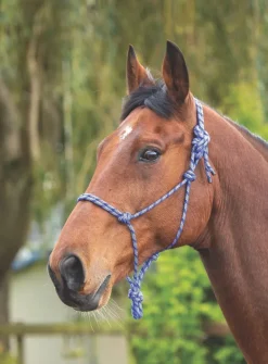 Shires Rope Control Headcollar