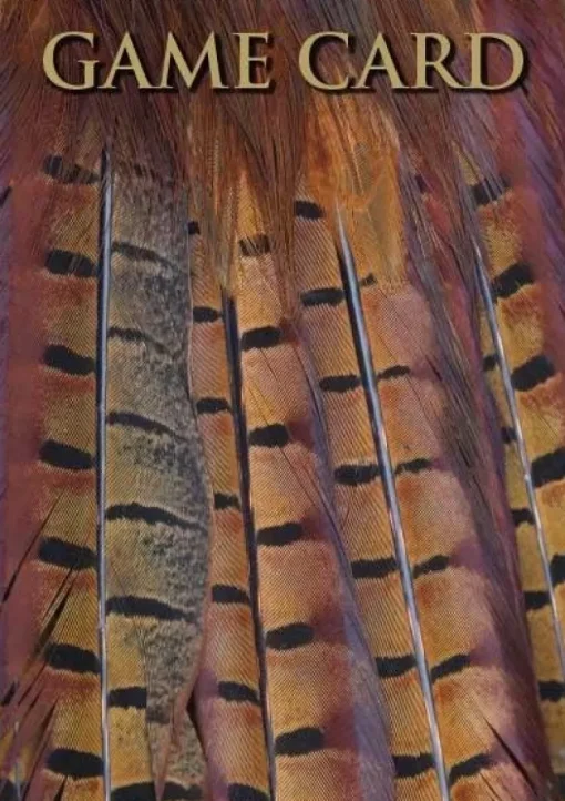 Shoot Game Cards - Pheasant Tail Feathers by Charles Sainsbury-Plaice