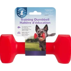 Training Dumbell